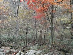 -罗田天堂寨风景区