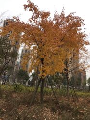 点击看大图 -可爱多国际儿童摄影会馆(龙泉店)