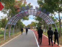 -上海长兴岛郊野公园