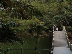 -广东茂名森林公园