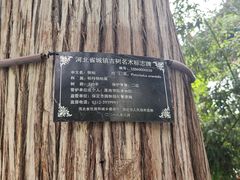 -莲池书院博物馆