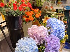 -之悦咖啡馆(新星宇·之洲店)