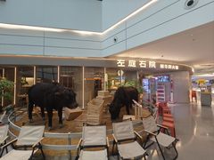 -左庭右院鲜牛肉火锅(京西大悦城店)