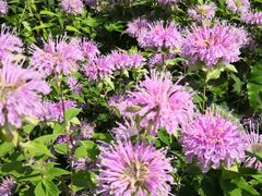 -长春公园(普阳街道)