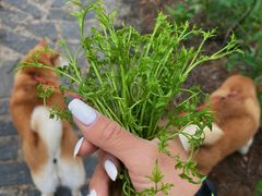 -白草畔自然风景区