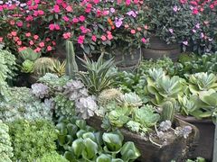 -山菌美食苑(振兴路店)