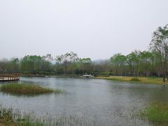 -北坞公园