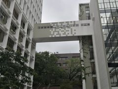 -香港大学