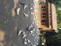 济南森林公园-济南森林公园