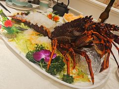-Imperial Kitchen & Bar 钓小宴私房菜