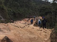 -霍顿平原国家公园