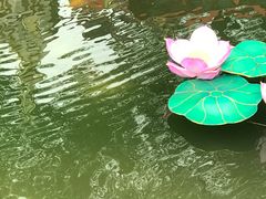 -豫园湖心亭茶楼