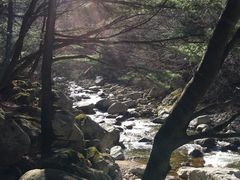 -青峰峡国家森林公园