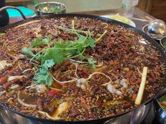 -鸿顺老铁锅美蛙鱼府(解放碑店)