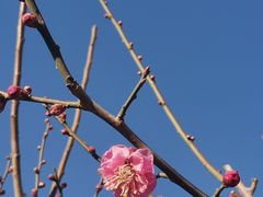 -北京明城墙遗址公园