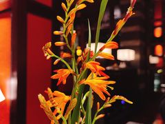 -杭州西子湖四季酒店·金沙厅