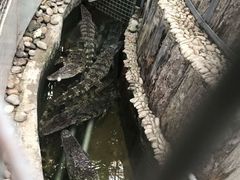 -呀路古热带植物园