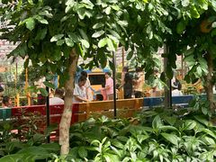 -南宫五洲植物乐园