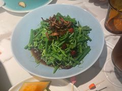 翡翠丝瓜尖-雀蓝川菜(滨湖万象汇店)