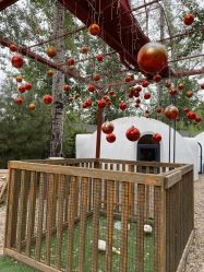 -禧园Joyous Garden ·宴会厅(禧园店)