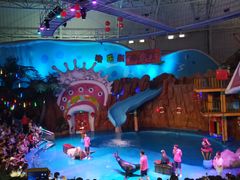 -烟台海昌鲸鲨海洋公园