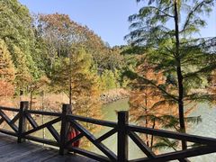 -天目湖山水园