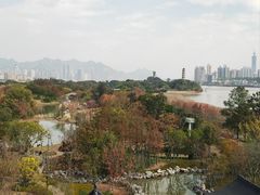 -江心屿景区