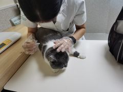 -谐和贝康宠物医院24小时·宠保定点(急重症转诊中心)