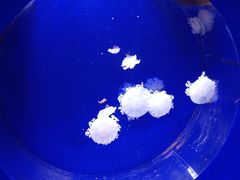 -泸州欢乐派海滩公园