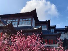 -威海华夏城景区