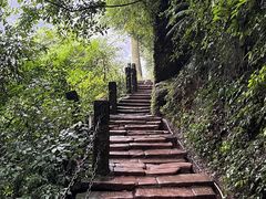 -青城山