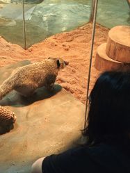 -Zoolung Zoolung动物主题公园(海信广场店)