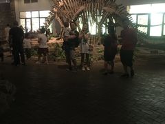 -自贡恐龙博物馆