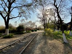 -永定河休闲森林公园
