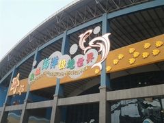 -泉城欧乐堡海洋极地世界