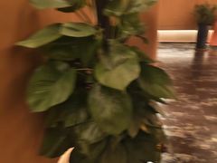 -霖公馆SPA·足道(普善路店)