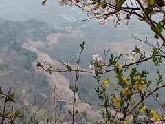 -樱花山风景区