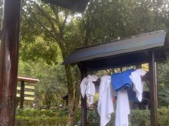 -明月山天沐温泉度假村