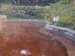 -杭州第一世界大酒店·云曼温泉