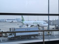 -上海浦东国际机场-T2航站楼