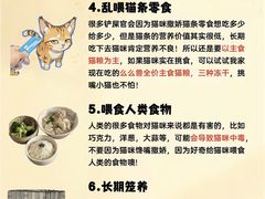 -瑞派·关忠动物医院(国瑞店)