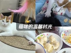 -闫水饺大酒楼·北京老闫靓马饺子馆