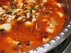 -棒棒鱼活鱼火锅(防洪渠店)