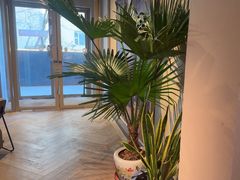-Wagas沃歌斯(北京君太百货店)