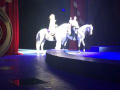 -珠海横琴长隆《卡卡虎奇遇记》