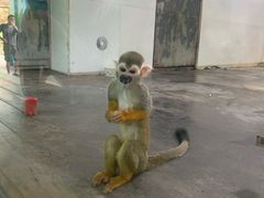 -西安秦岭野生动物园