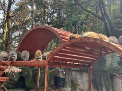 -杭州野生动物世界