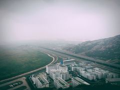 -洋山深水港