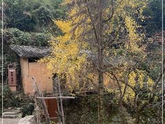 -杨家堂村
