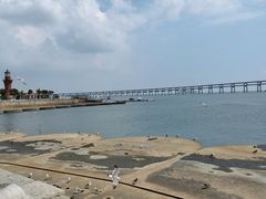 -星海湾跨海大桥